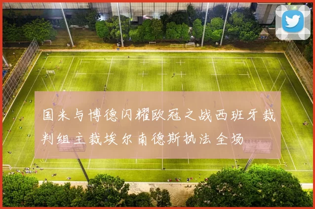 国米与博德闪耀欧冠之战西班牙裁判组主裁埃尔南德斯执法全场